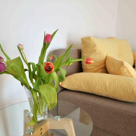 Apartmani Dora Murter Zewnętrze zdjęcie